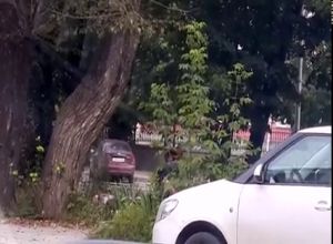 На лавочке трахаются а их скрытно снимают
